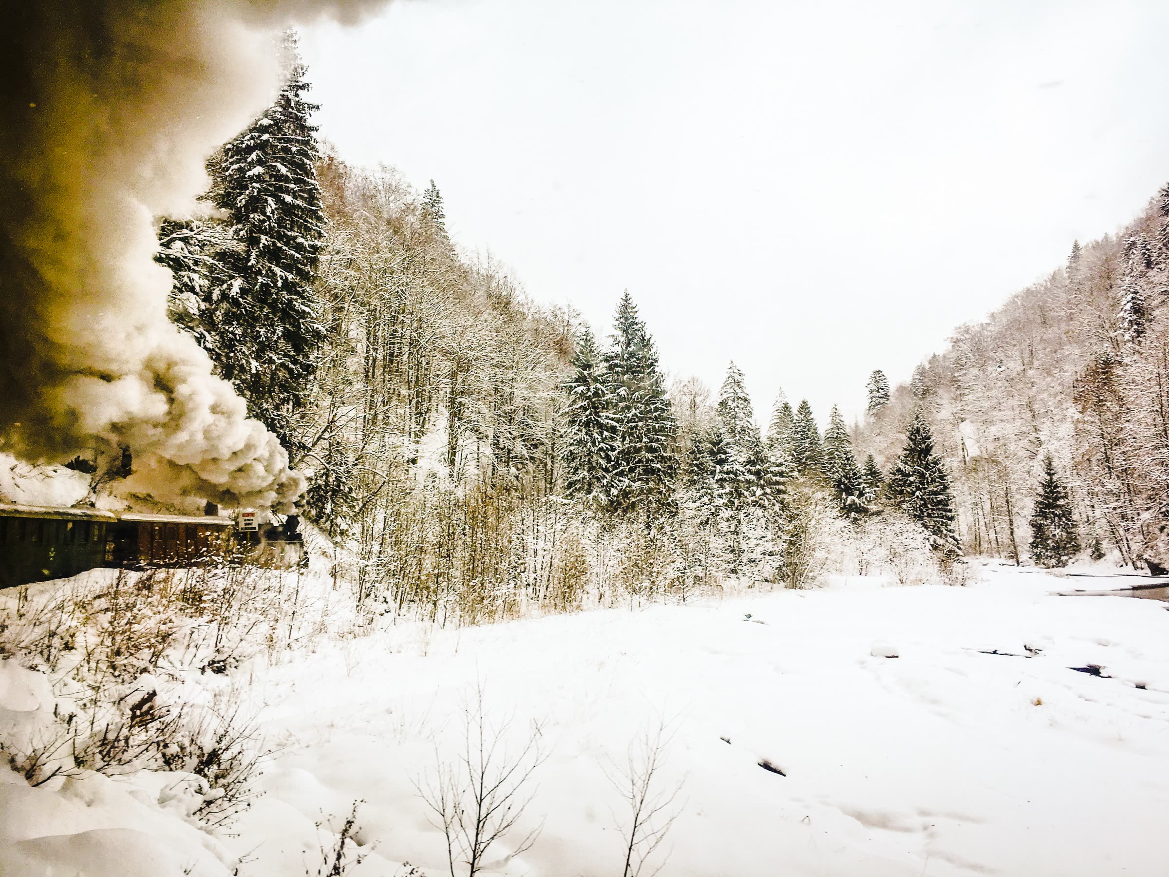 Mocănița, trenul forestier cu aburi, pe o vale înzăpezită de pe Valea Vaserului